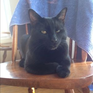 Meet your Posher, Nadie